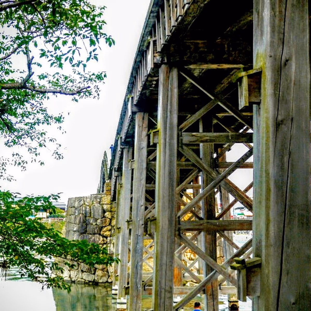 投稿写真：錦帯橋