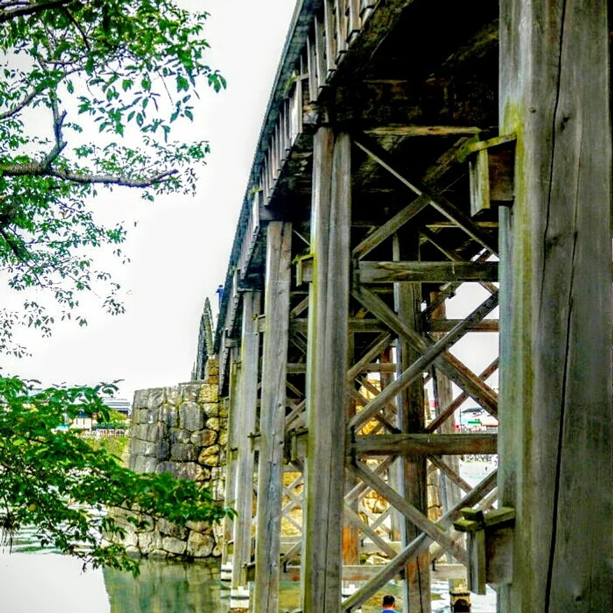 投稿写真：錦帯橋