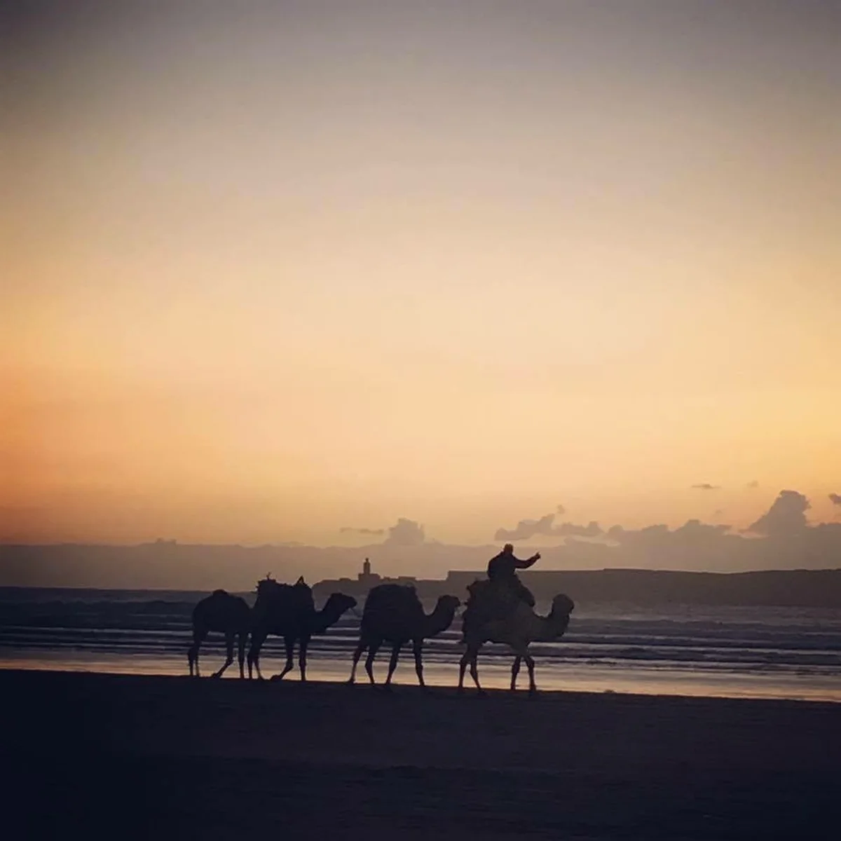 投稿写真：夕暮れの海辺