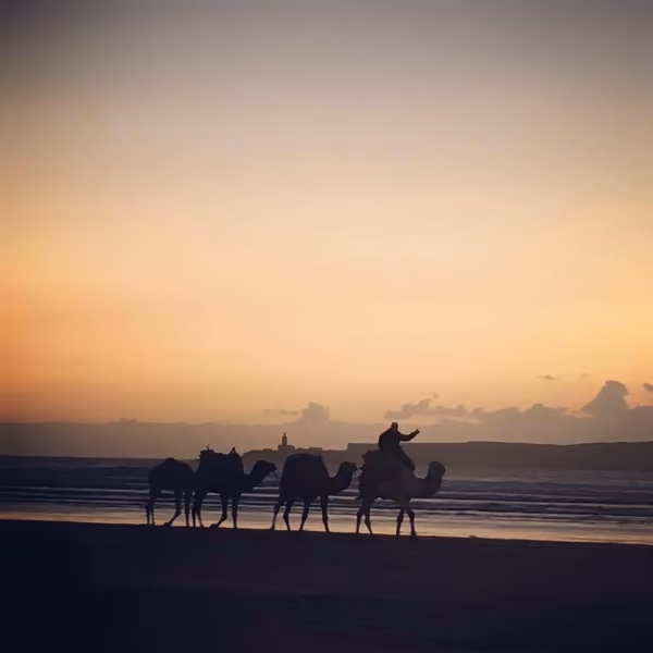 投稿：夕暮れの海辺