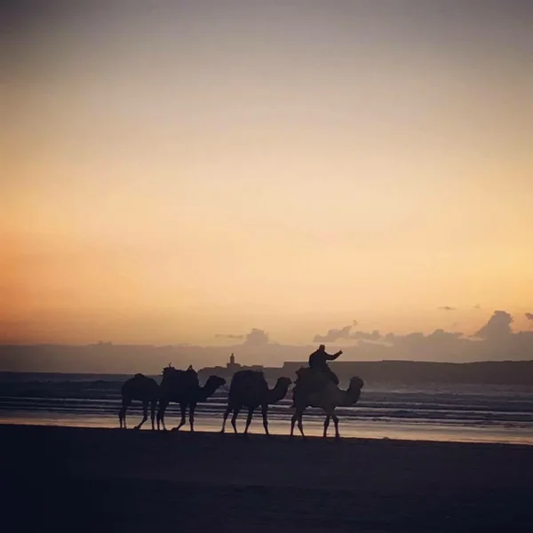 投稿：夕暮れの海辺