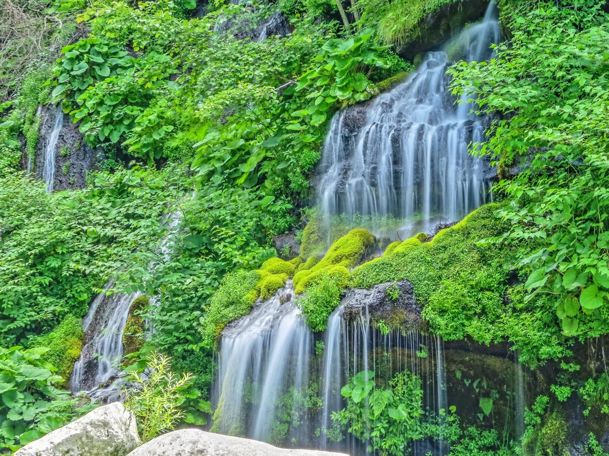 投稿写真：吐竜の滝