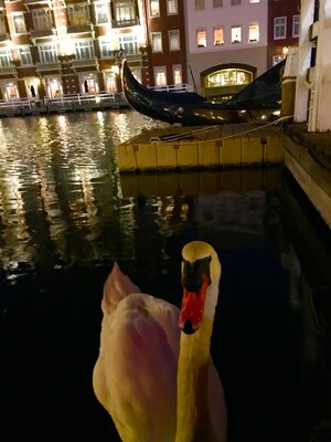  | 絶景事典