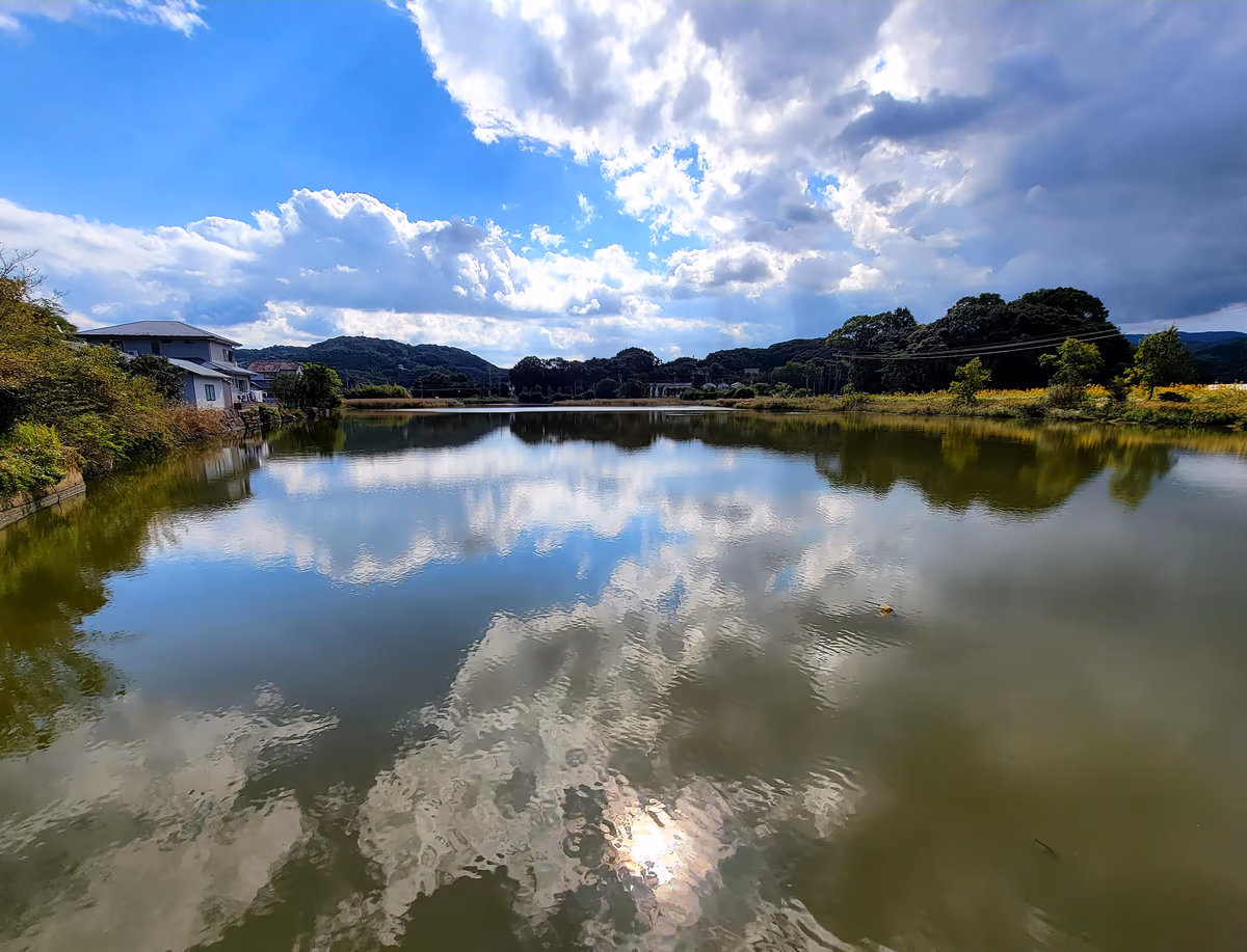 投稿写真：水門前から