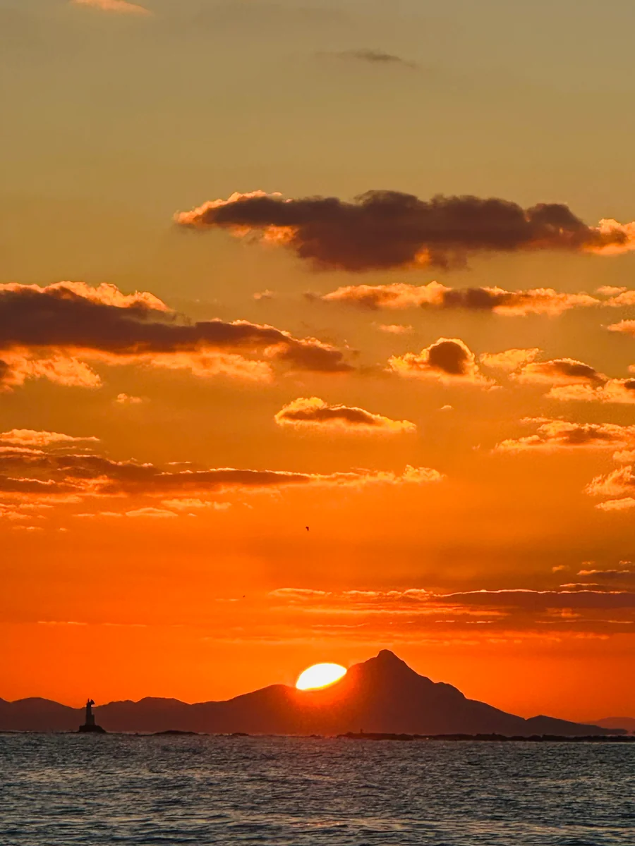 投稿写真：初日の出