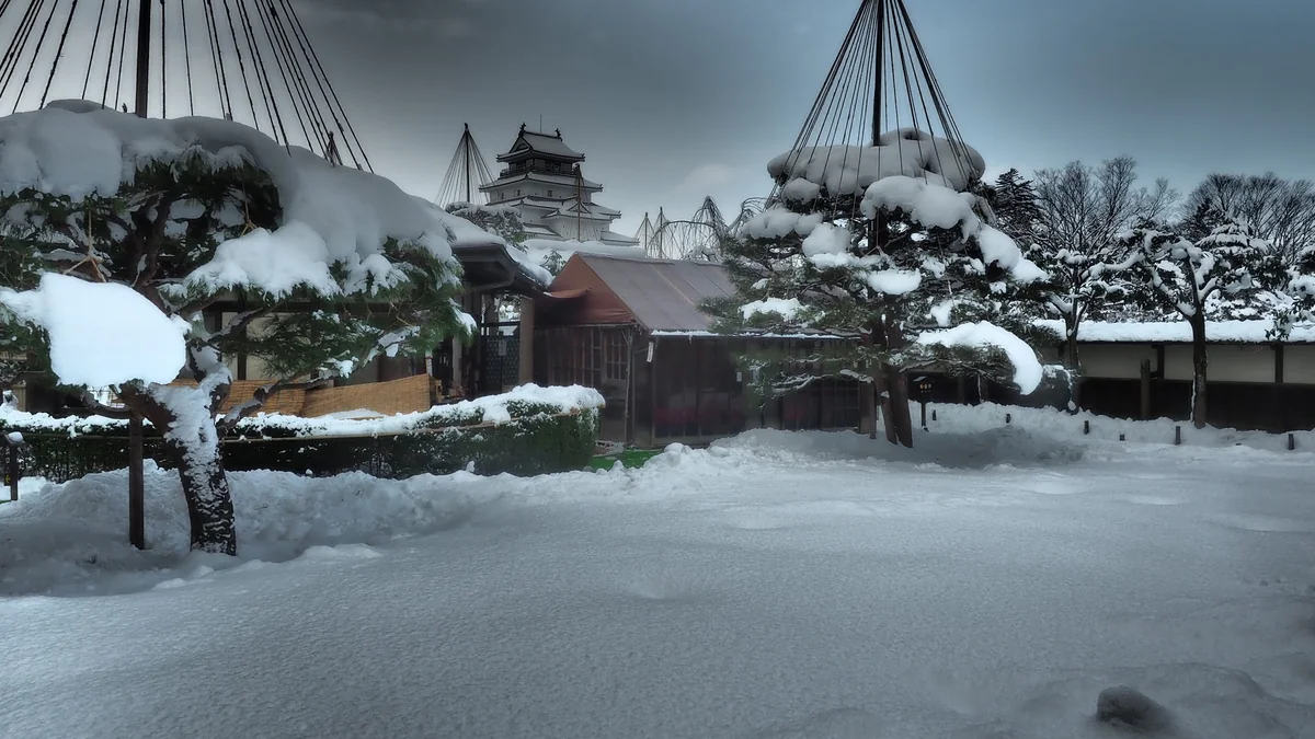 投稿写真：雪吊りの庭　会津若松城