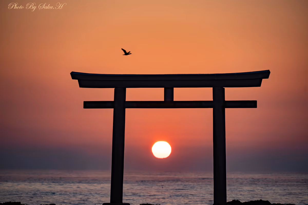 投稿写真：橙陽