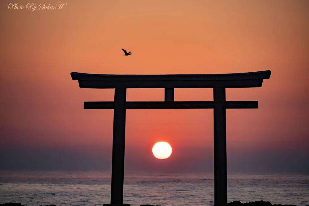 投稿写真：橙陽