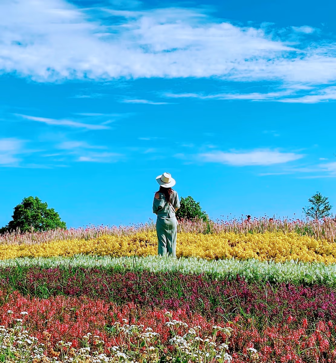 投稿写真：夏の花🌼