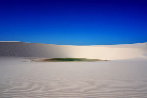 投稿：レンソイス