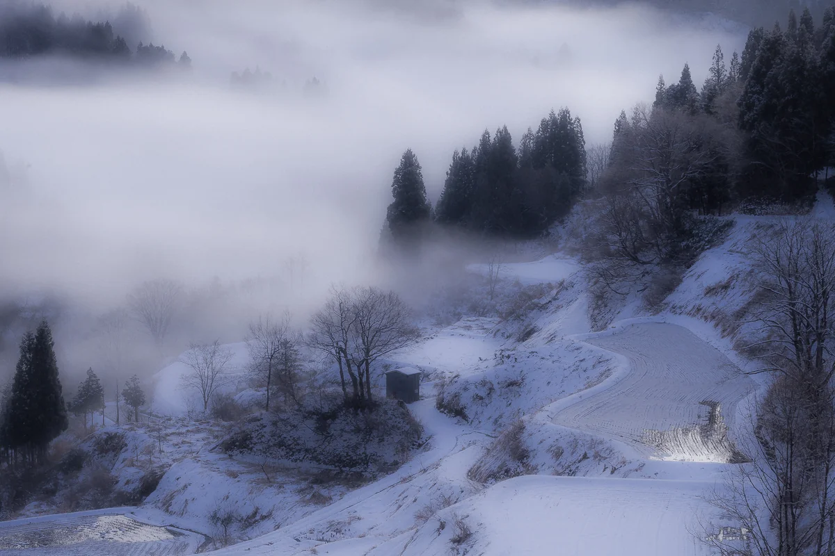 投稿写真：蒲生の棚田　冬の朝景
