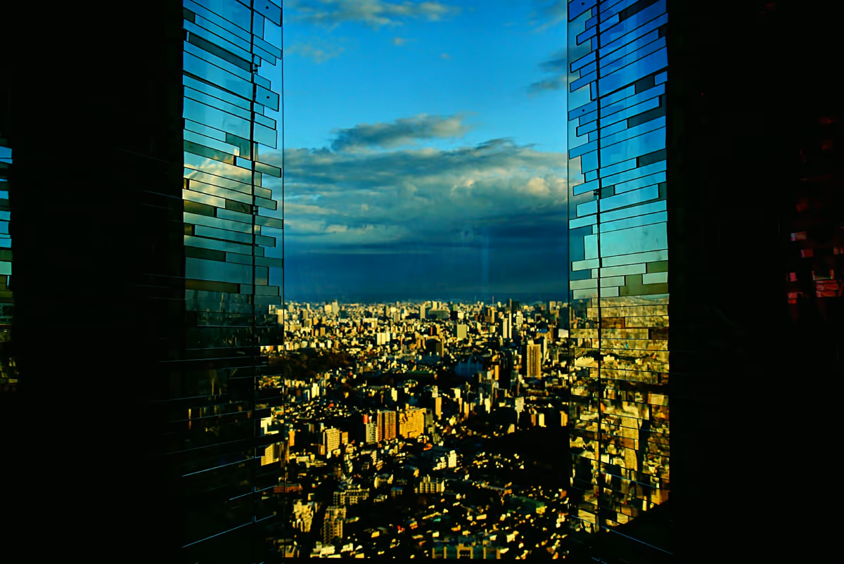 投稿写真：滅びの美学。