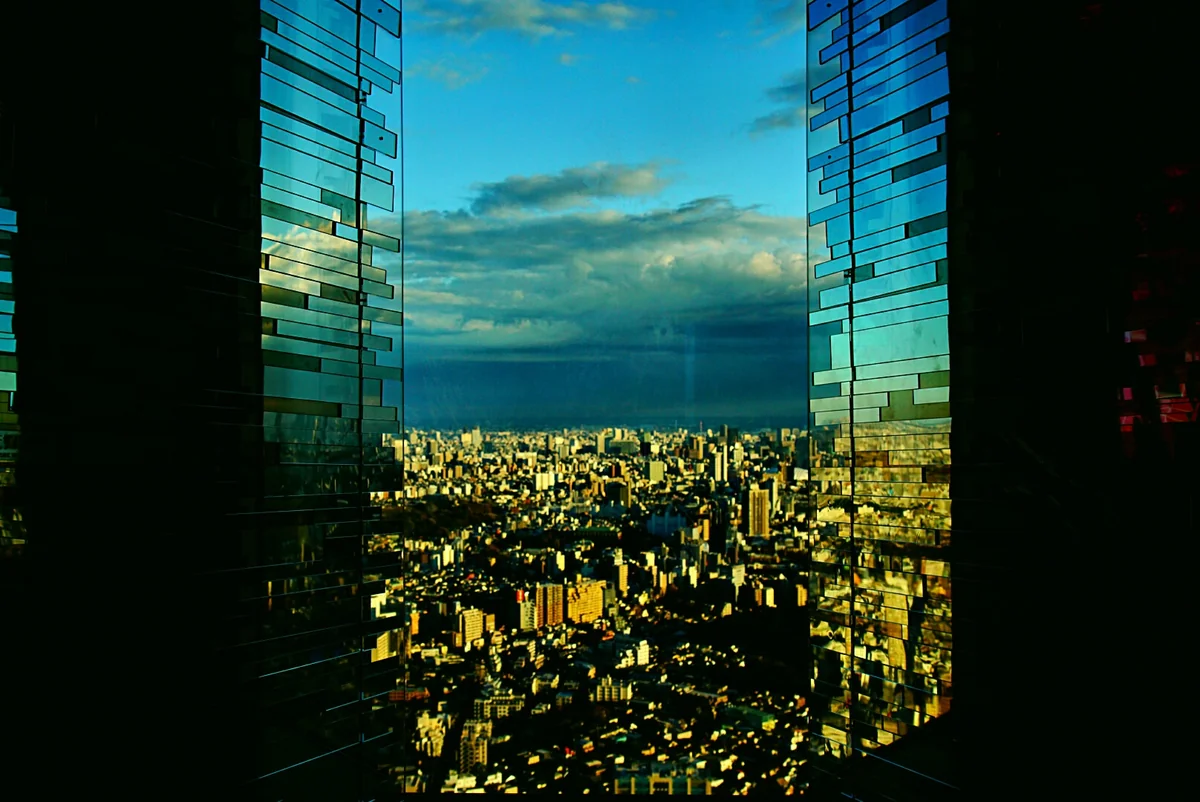 投稿写真：滅びの美学。