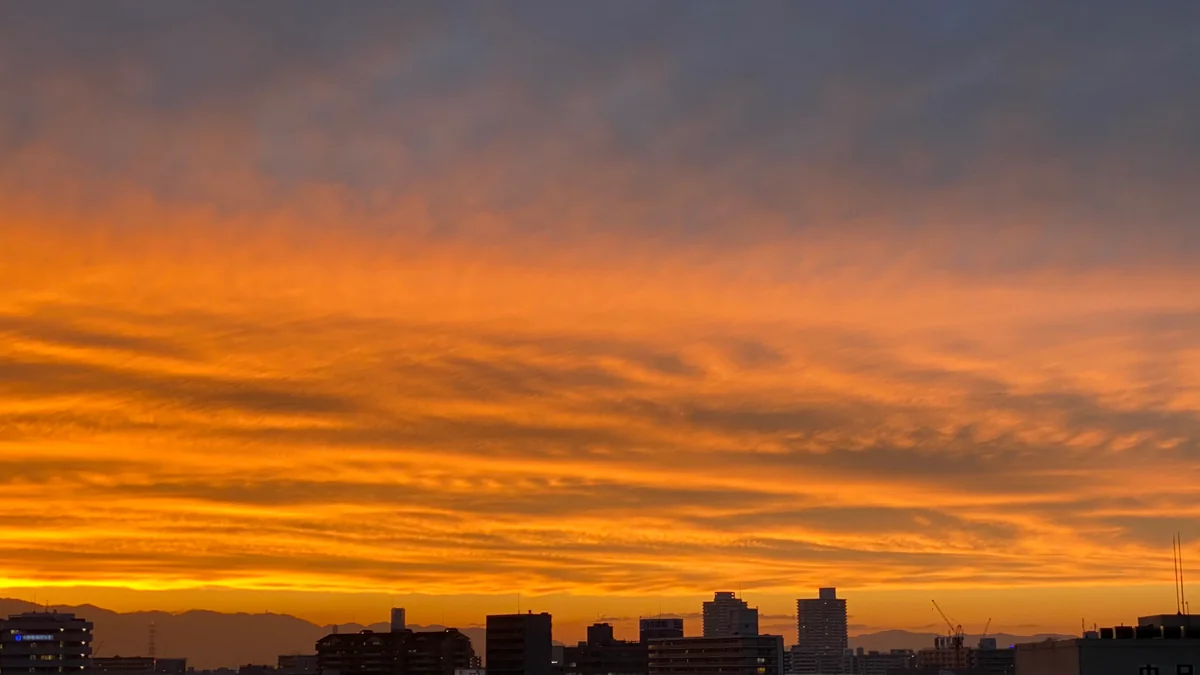 投稿写真：あなたの近くに
