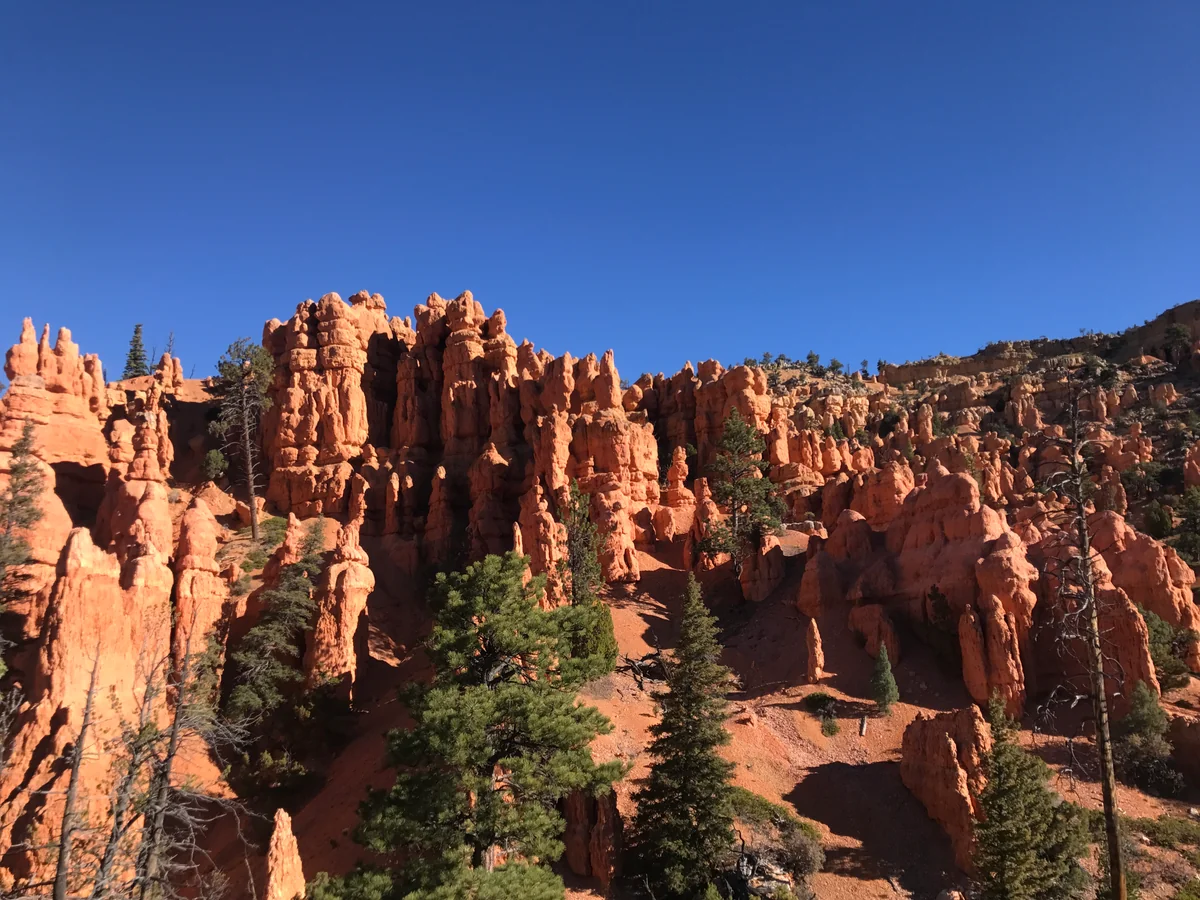 投稿写真：Bryce Canyon
