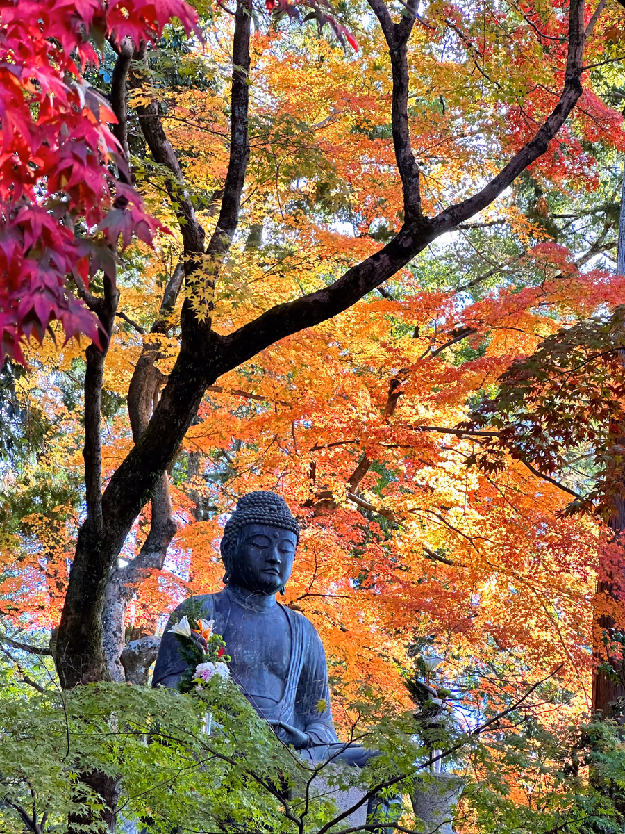 投稿写真：彩紅葉の阿弥陀様