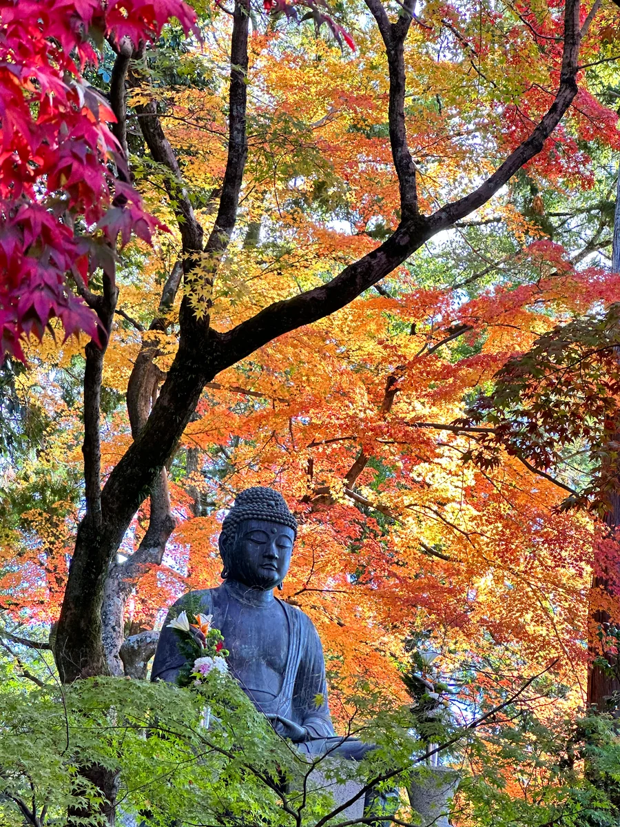投稿写真：彩紅葉の阿弥陀様