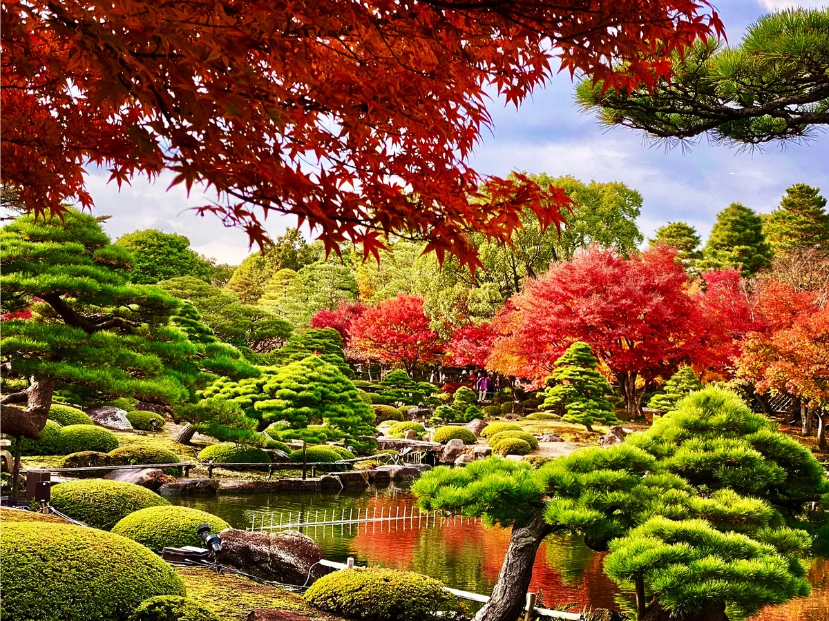 K Satine Jpさんの投稿写真