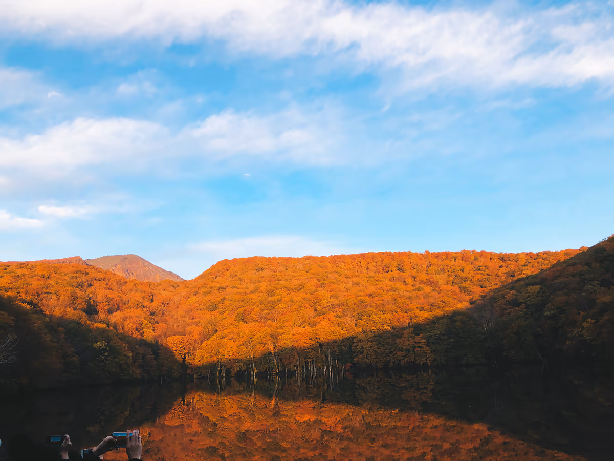 投稿写真：十和田 蔦沼 紅葉