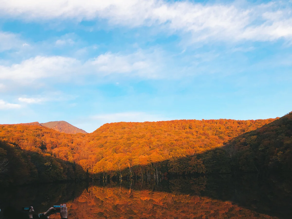 投稿写真：十和田 蔦沼 紅葉