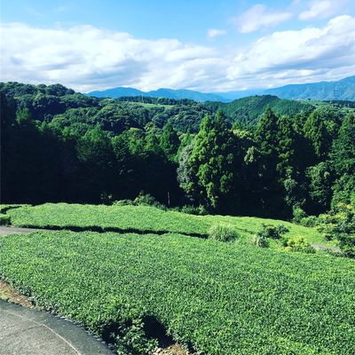  | 絶景事典