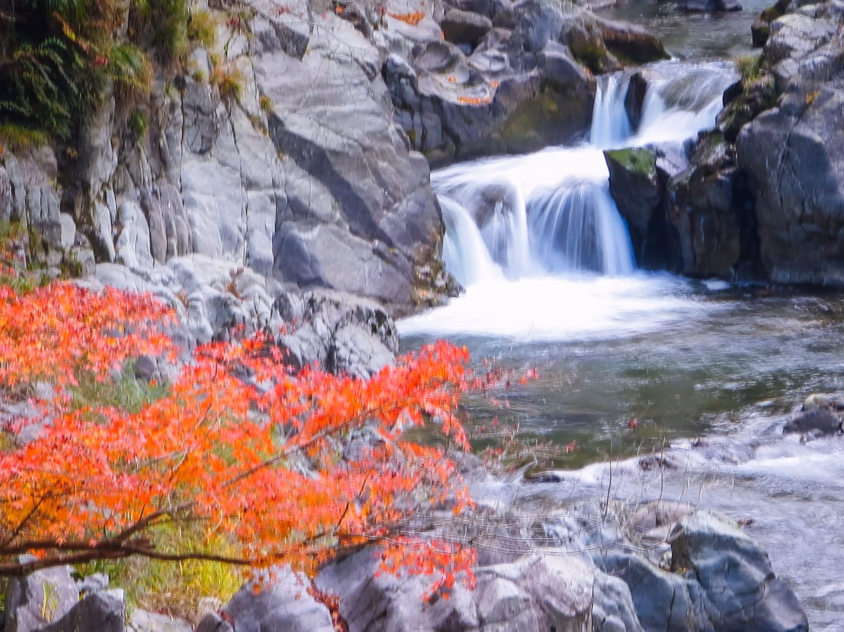 投稿写真：紅葉の大蛇ヶ淵