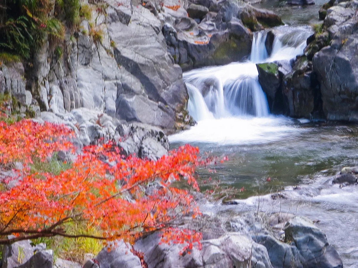 投稿写真：紅葉の大蛇ヶ淵