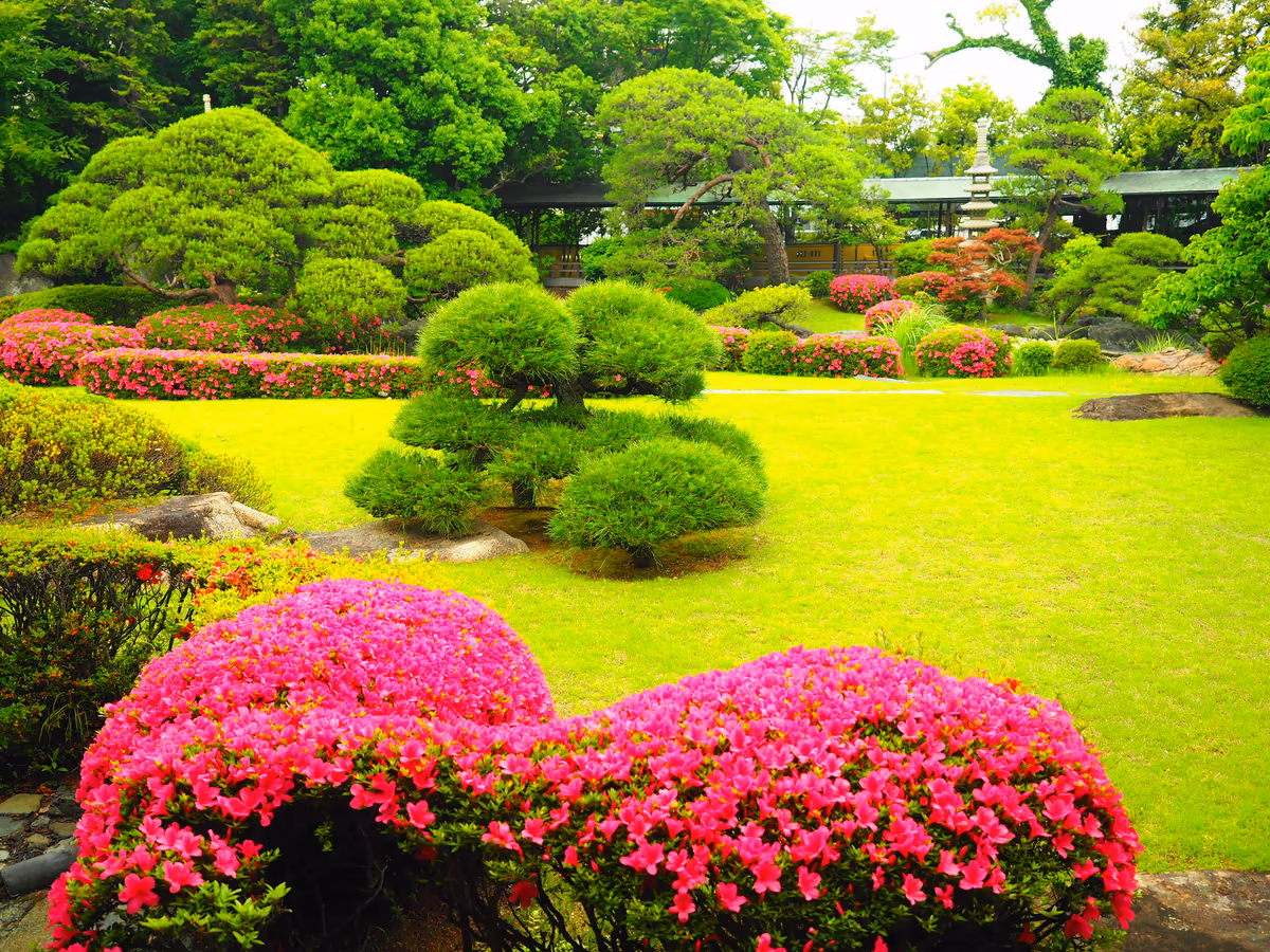 投稿写真：題教寺　庭園
