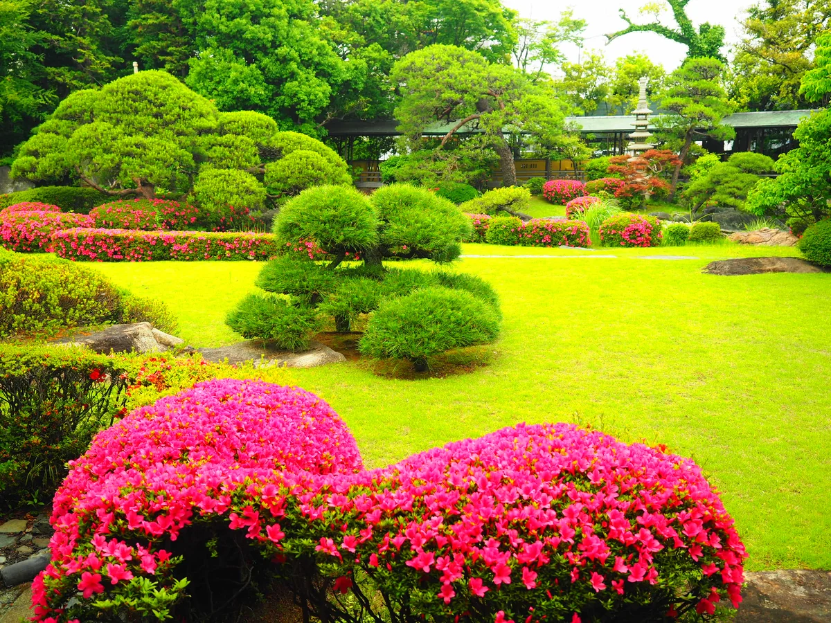 投稿写真：題教寺　庭園