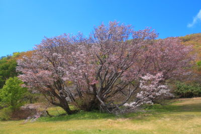  | 絶景事典