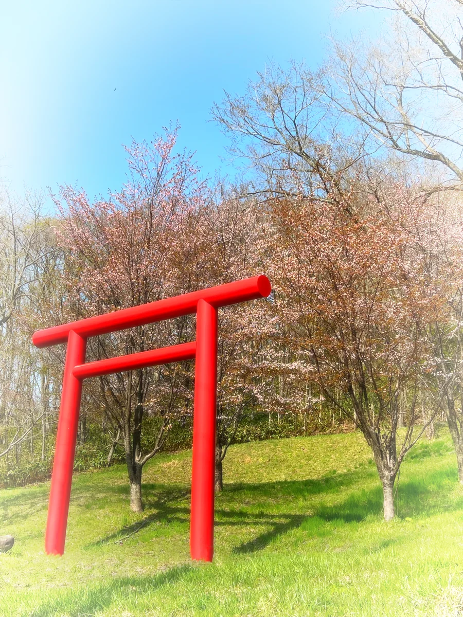 投稿写真：桜と神社の鳥居