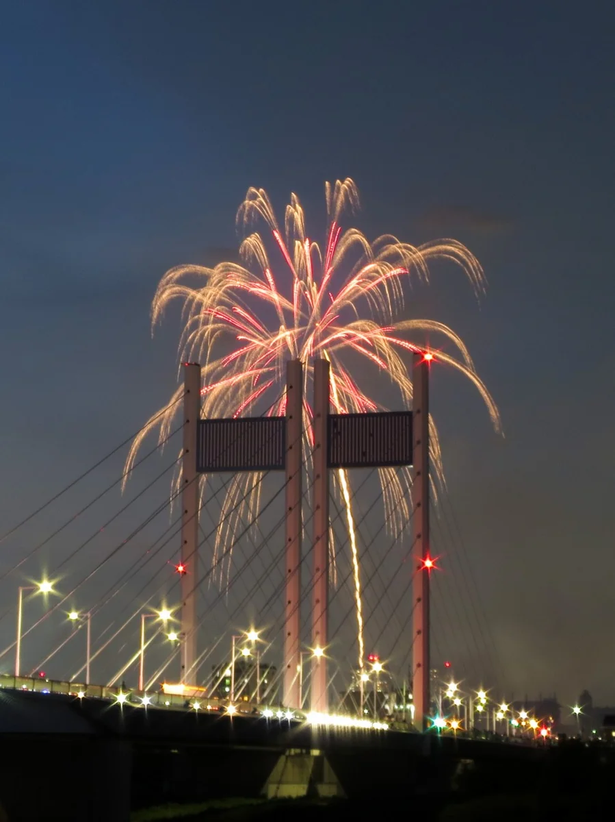 投稿写真：東京競馬場花火と斜張橋