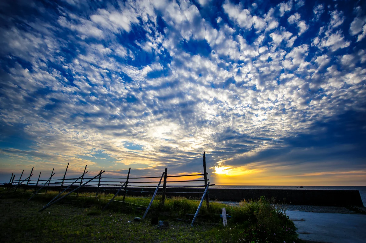投稿写真：うろこ雲