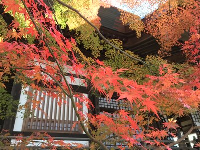  | 絶景事典