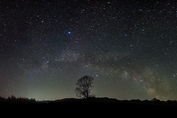 投稿：開田高原の天の川アーチ