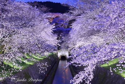 | 絶景事典