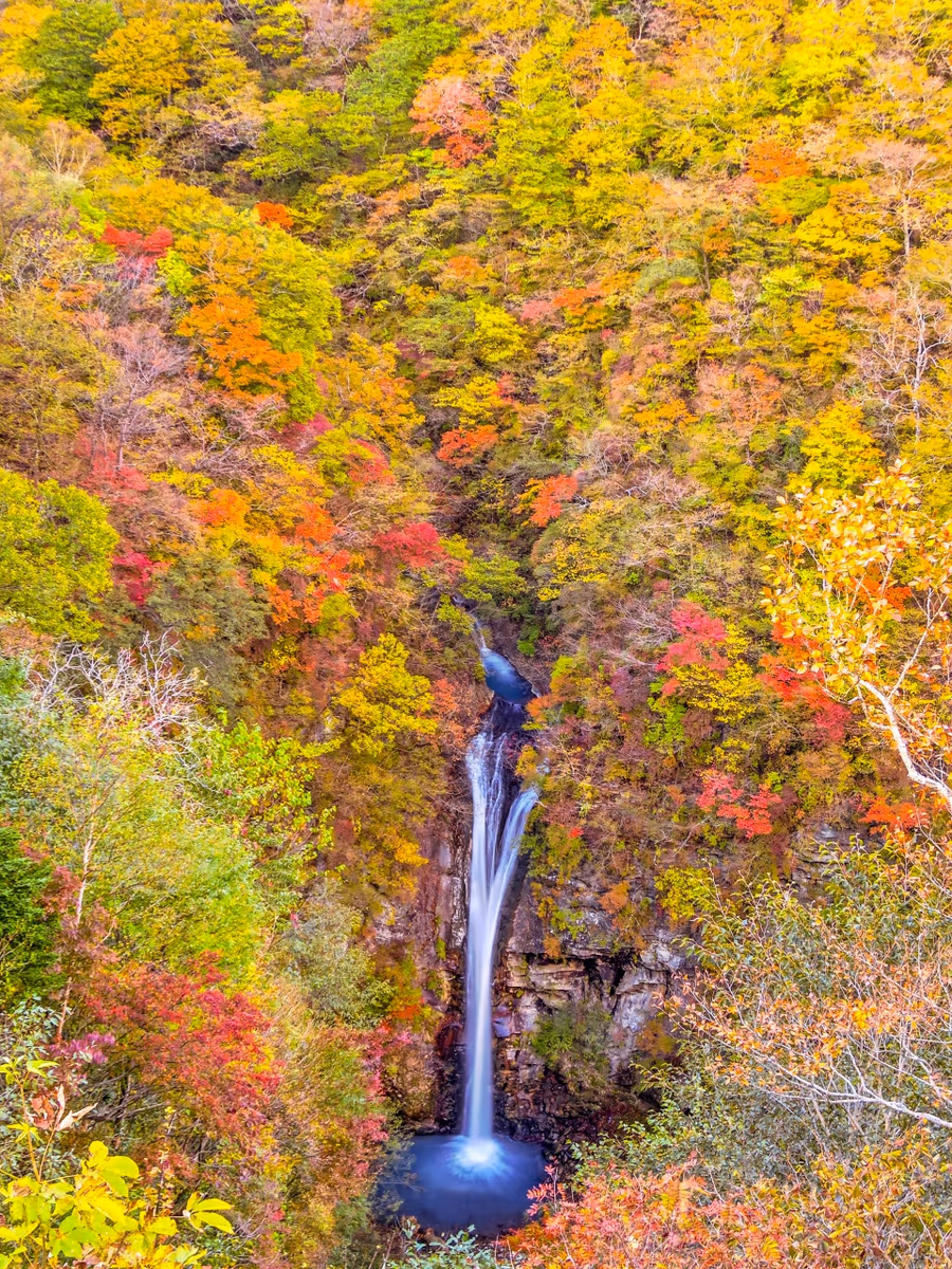 投稿写真：紅葉の駒止の滝