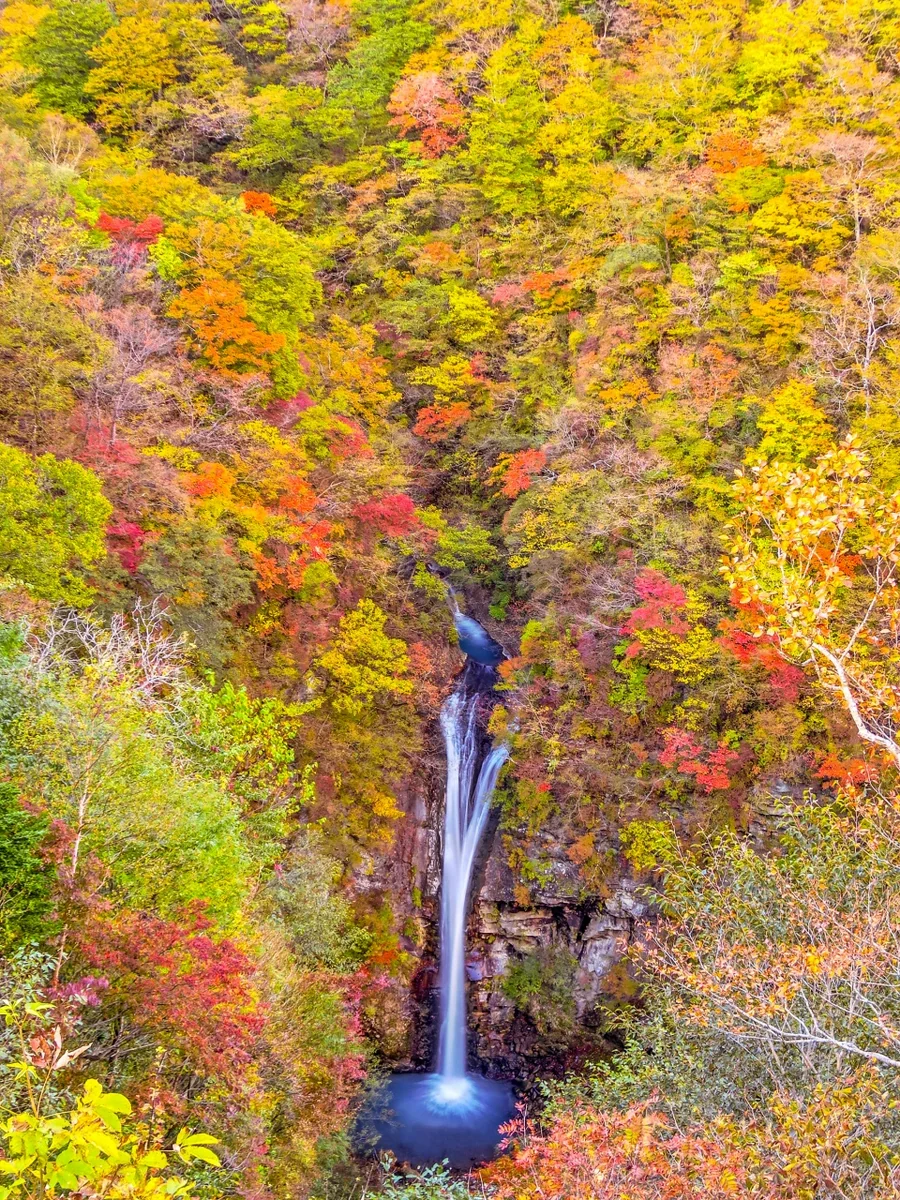 投稿写真：紅葉の駒止の滝