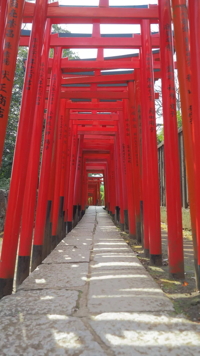 投稿写真：根津神社　千本鳥居