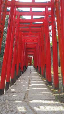  | 絶景事典