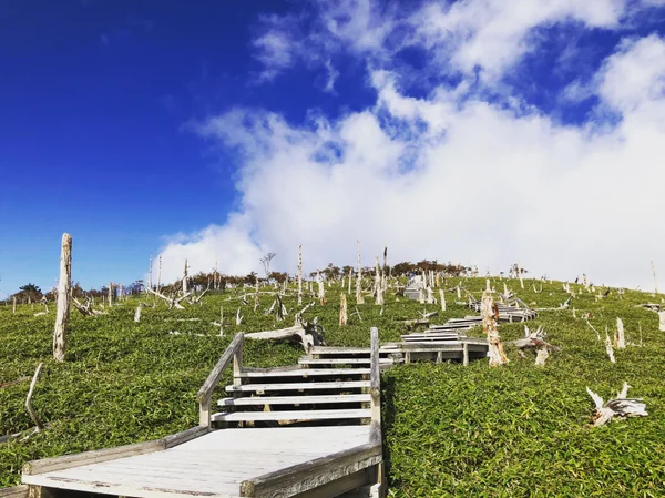 投稿：奈良県　大台ヶ原