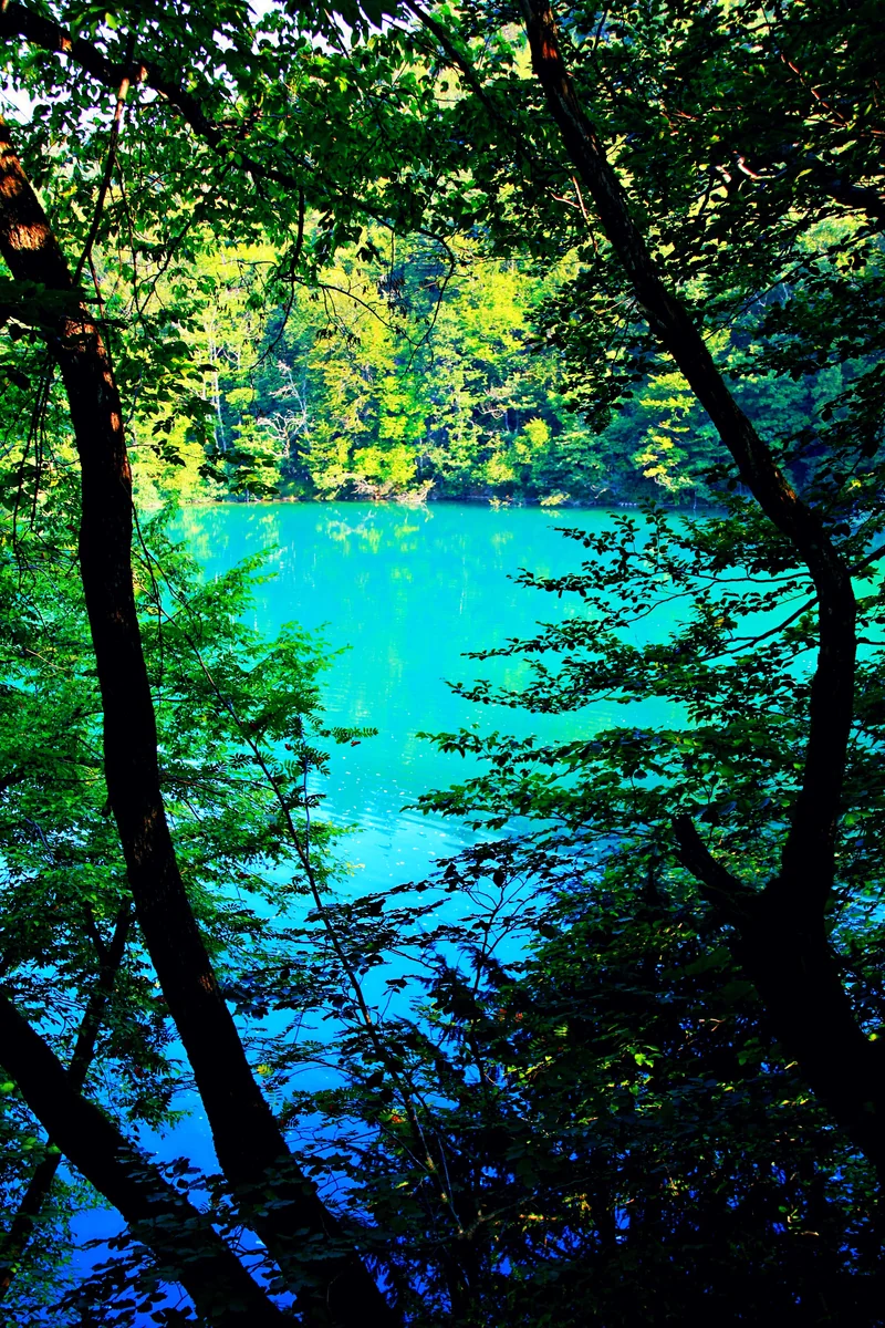 投稿写真：神秘の湖 プリトヴィツェ