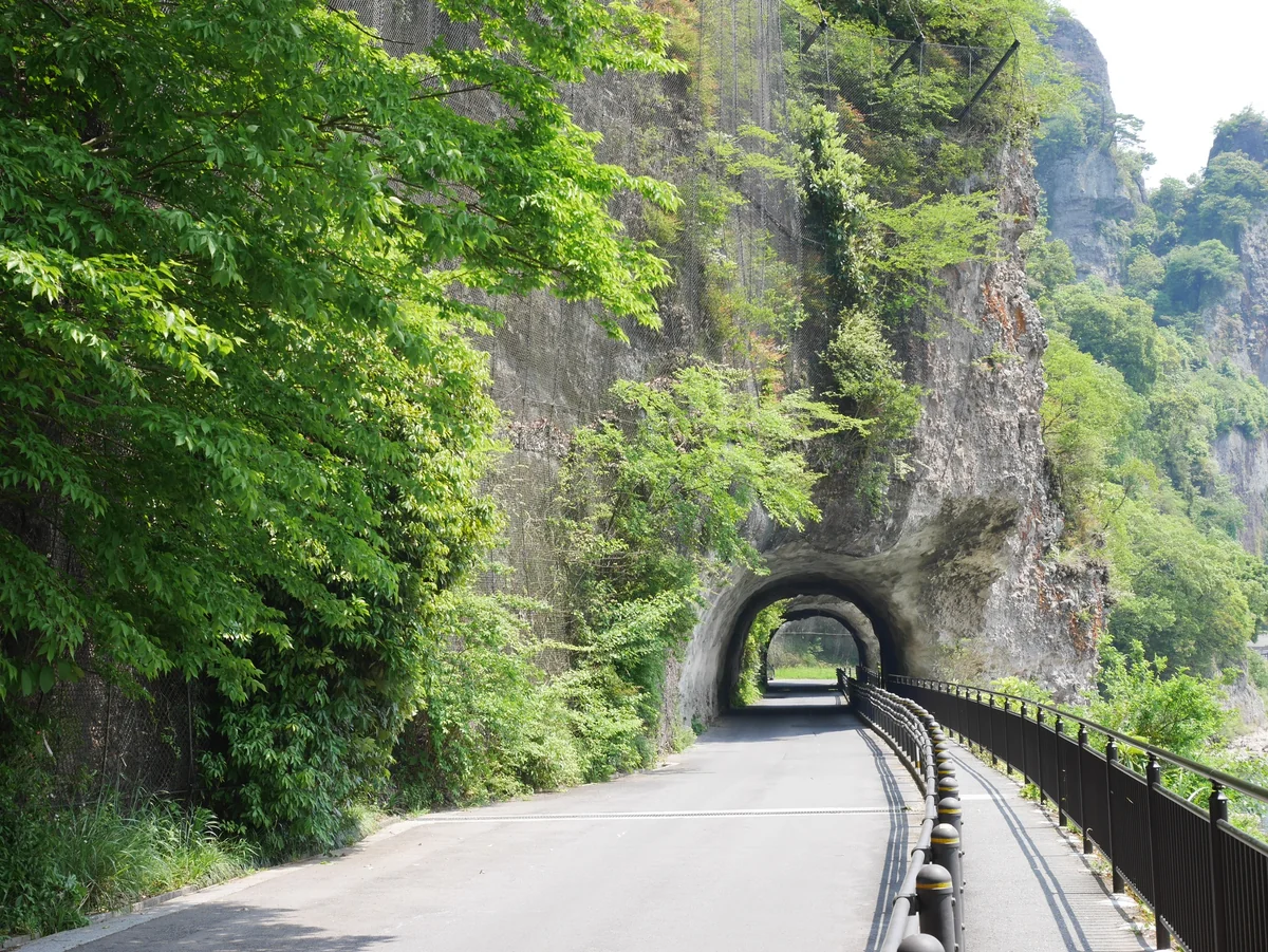投稿写真：052青の洞門（大分）