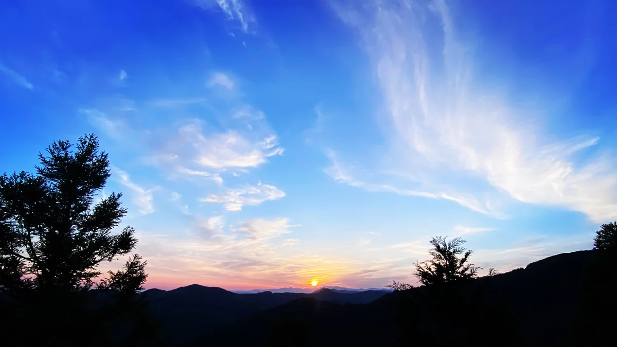 投稿写真：不死鳥が羽ばたく新しい朝