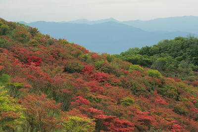  | 絶景事典
