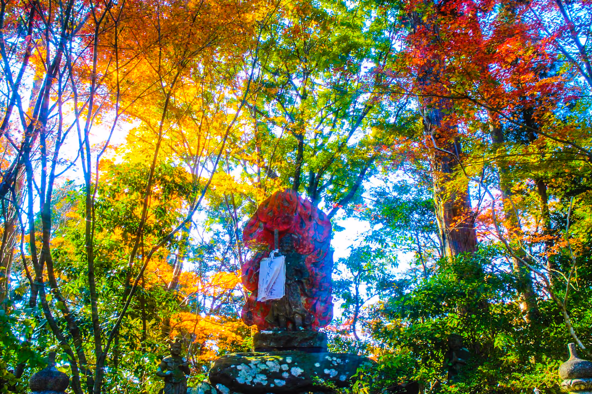 投稿写真：紅葉と不動明王