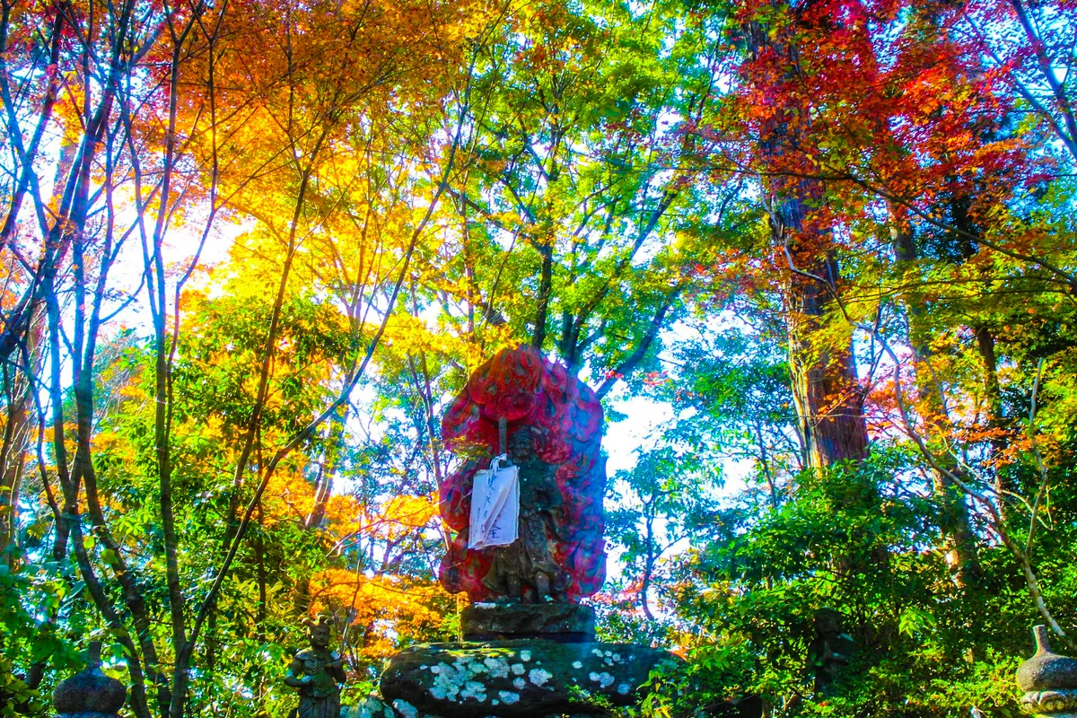 投稿写真：紅葉と不動明王