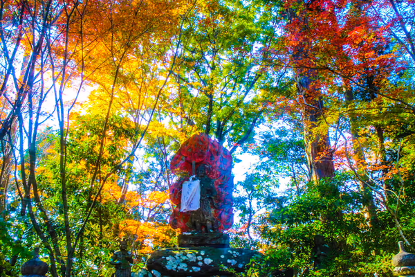 投稿：紅葉と不動明王