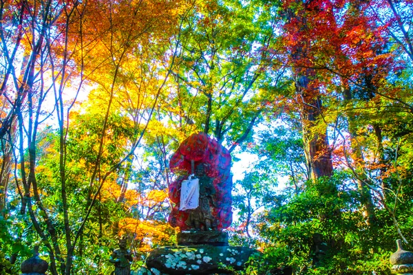 投稿：紅葉と不動明王