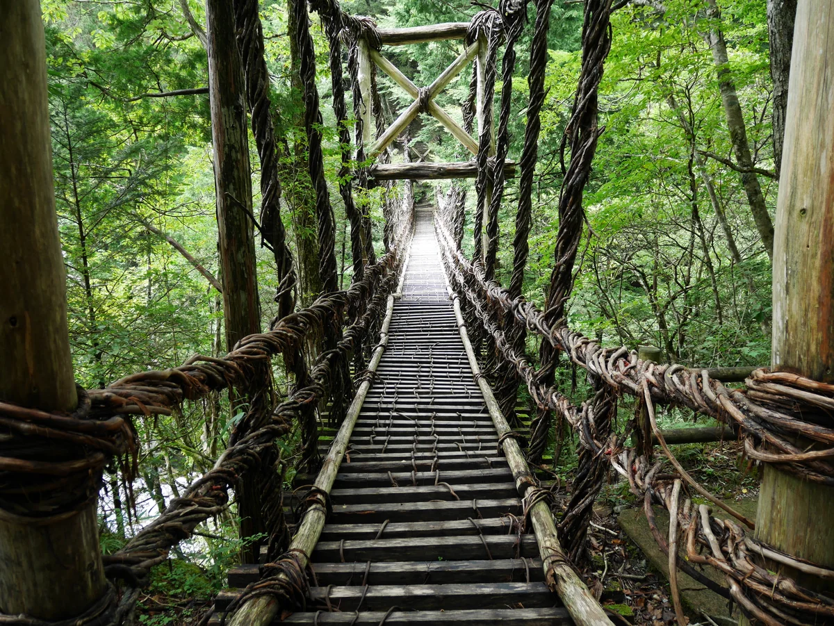 投稿写真：170女橋（徳島）